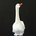 Ann Blake - @annblakeart - Instagram