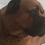 Ann Blake - @annblake9062 - Instagram