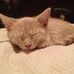 Ann Blake - Facebook