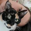 user7599448986943 - @ann_blum - TikTok