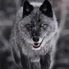 Emily Ann Boden - @blastzwolf - TikTok