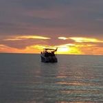 George Ann Boehm - @georgeannboehm - Instagram
