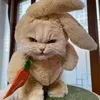 annaboiceva - @annaboiceva - TikTok