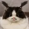 Annaleah Boice - @annaleah.boice - TikTok