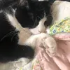 Mary Ann Pavolasky-Boice - @mary.ann.pavolask - TikTok