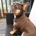 Ann Bolding - @anna_b68 - Instagram