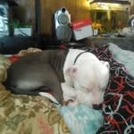 Carrie Ann Bolding - @anncarrie74 - Instagram