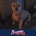 JoAnn Boley - Facebook