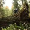 Anne Bolger Witherspoon - @anne.bolger.withe - TikTok