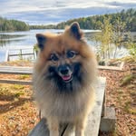 Ann Boman - @lizziemam - Instagram