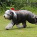 Ann-Charlotte Boman - Facebook