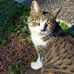 Anne Boman - Facebook