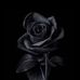 Ann Bon - Facebook