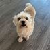Ann Bond - Facebook