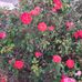 Ann Bondy - Facebook