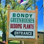 annbondynursery - @annbondynursery - Instagram