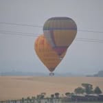 Anne Bonfield - @annebonfield - Instagram