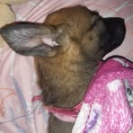 Ann Boni - Facebook