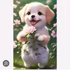 AnnBoni - @annboni - TikTok