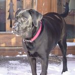Ann Bonk - Facebook