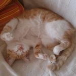 ann bonny - @annbonny8 - Instagram
