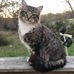 Ann Bonny - Facebook