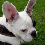 Ann Bonny - @ann.bonny._ - Instagram