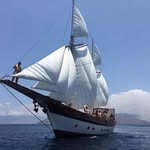 Anne Bonny Liveaboard - @annebonnycharters - Instagram