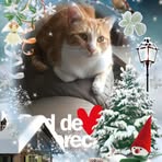 Ann Bonte - Facebook