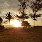 Carol Ann Boren - @carolannboren - Instagram