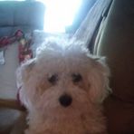 Ann Boring - Facebook