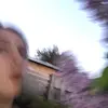 borisann - @borisann - TikTok