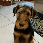 Teresa Ann Boris - Facebook