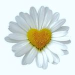 Ann Bormann Empen - @threeempens - Instagram