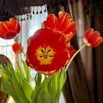 Ann Borres - @borres.ann - Instagram