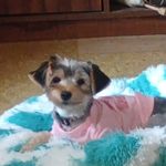 Ann Bortz - @bortz.ann - Instagram