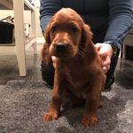 Annbos - @annbos - Instagram