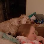 Ann Bose - Facebook