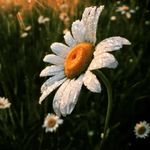 Sarah-Ann Bosley - @saart_jie07 - Instagram