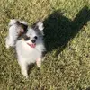 T'Neale Ann Bosman - @furrybosmans - TikTok