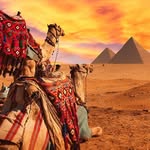 annboss - @annboss71 - Instagram