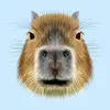 Annelies Bossier - @anneliesbossier - TikTok