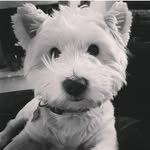 Ann Bostock - @annbostock - Instagram