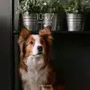 annbotros - @annbotros - TikTok