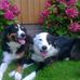 Anne Bott - Facebook