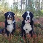 Anne Martha Botten - @anne.martha - Instagram