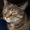 Ann Bottorff972 - @annbottorff972 - TikTok