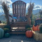 Ann Boudreau Taylor - @annboudreautaylor - Instagram