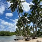 Anne Boulet - @aboulet26 - Instagram