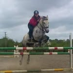 Ann Bourke - @annbourkehorses - Instagram
